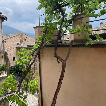 La Vecchia Vite