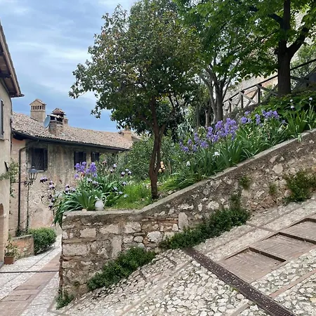 Appartement La Vecchia Vite Trevi