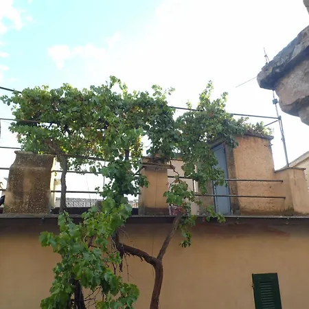 La Vecchia Vite דירה