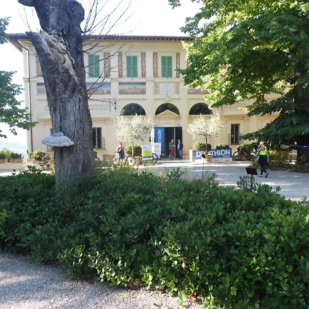 La Vecchia Vite Trevi