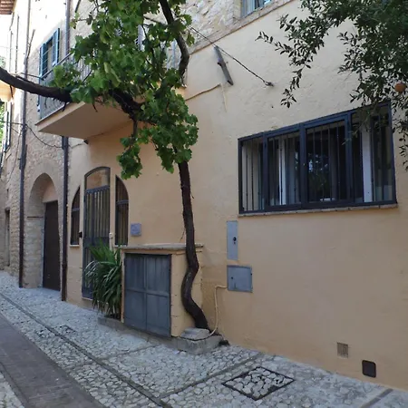 La Vecchia Vite