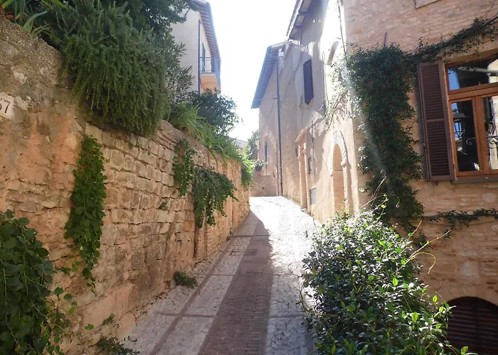 La Vecchia Vite * Trevi