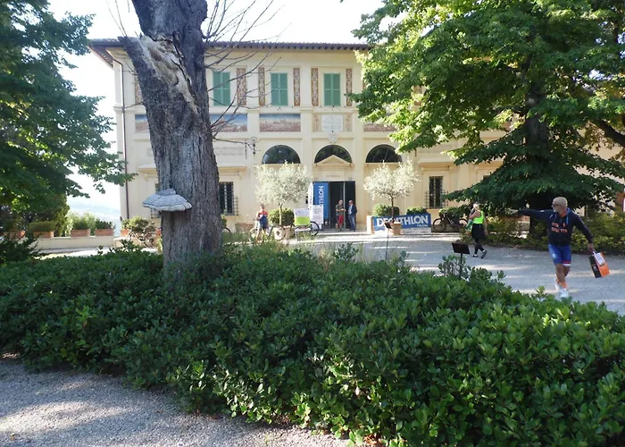 La Vecchia Vite Trevi